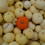 Sarah Bagg - ReWork Consulting